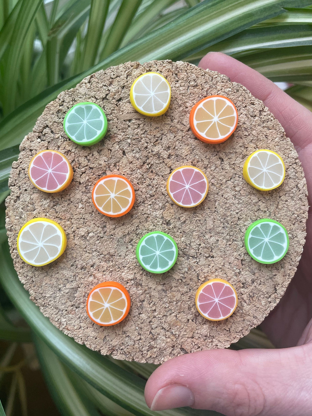Citrus Mix