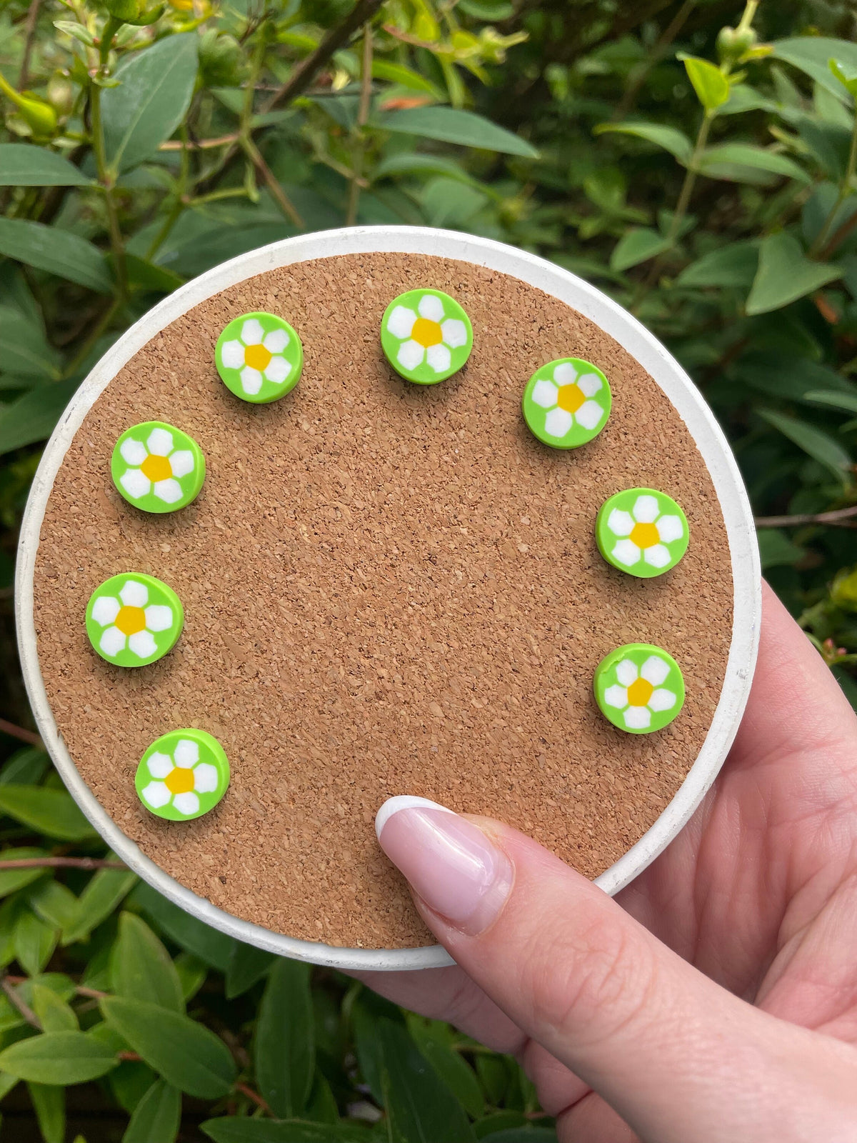 Green Daisies