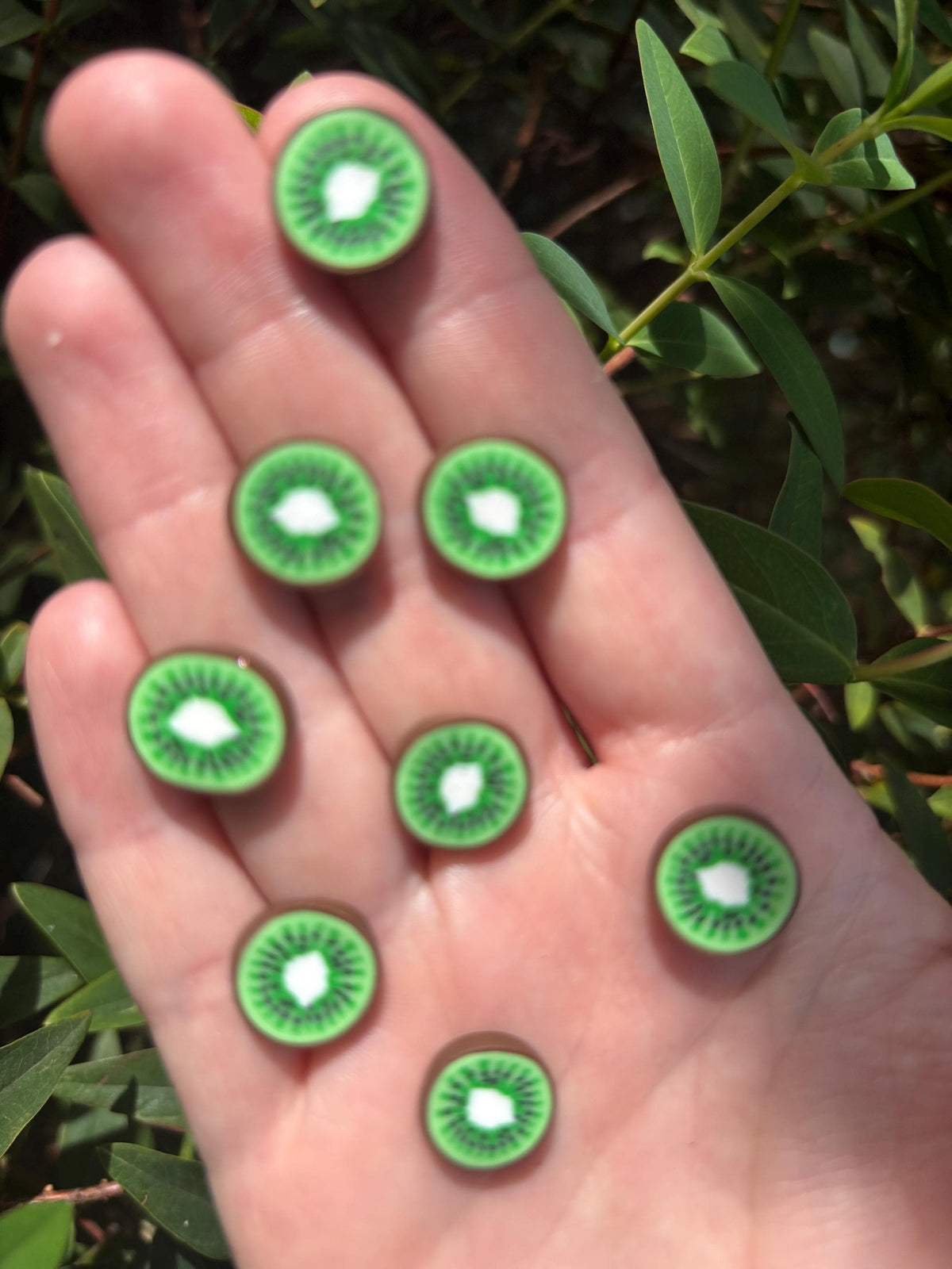 Kiwi Slices