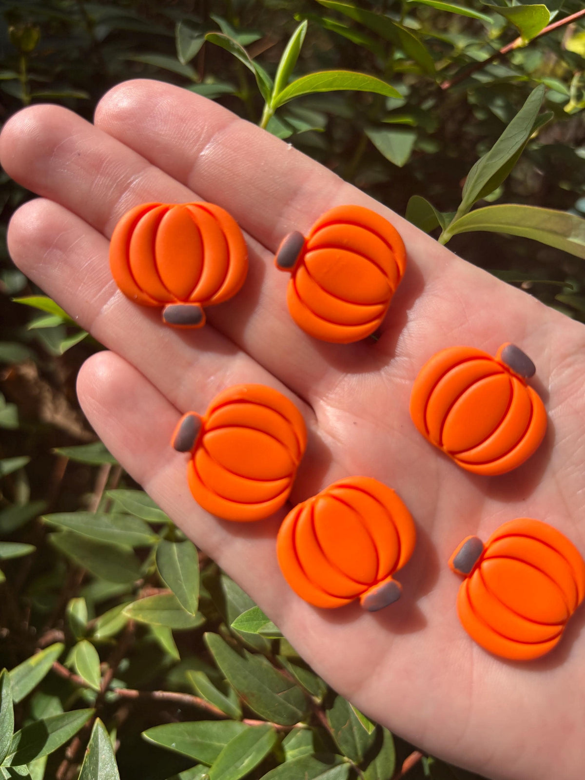 Pumpkins