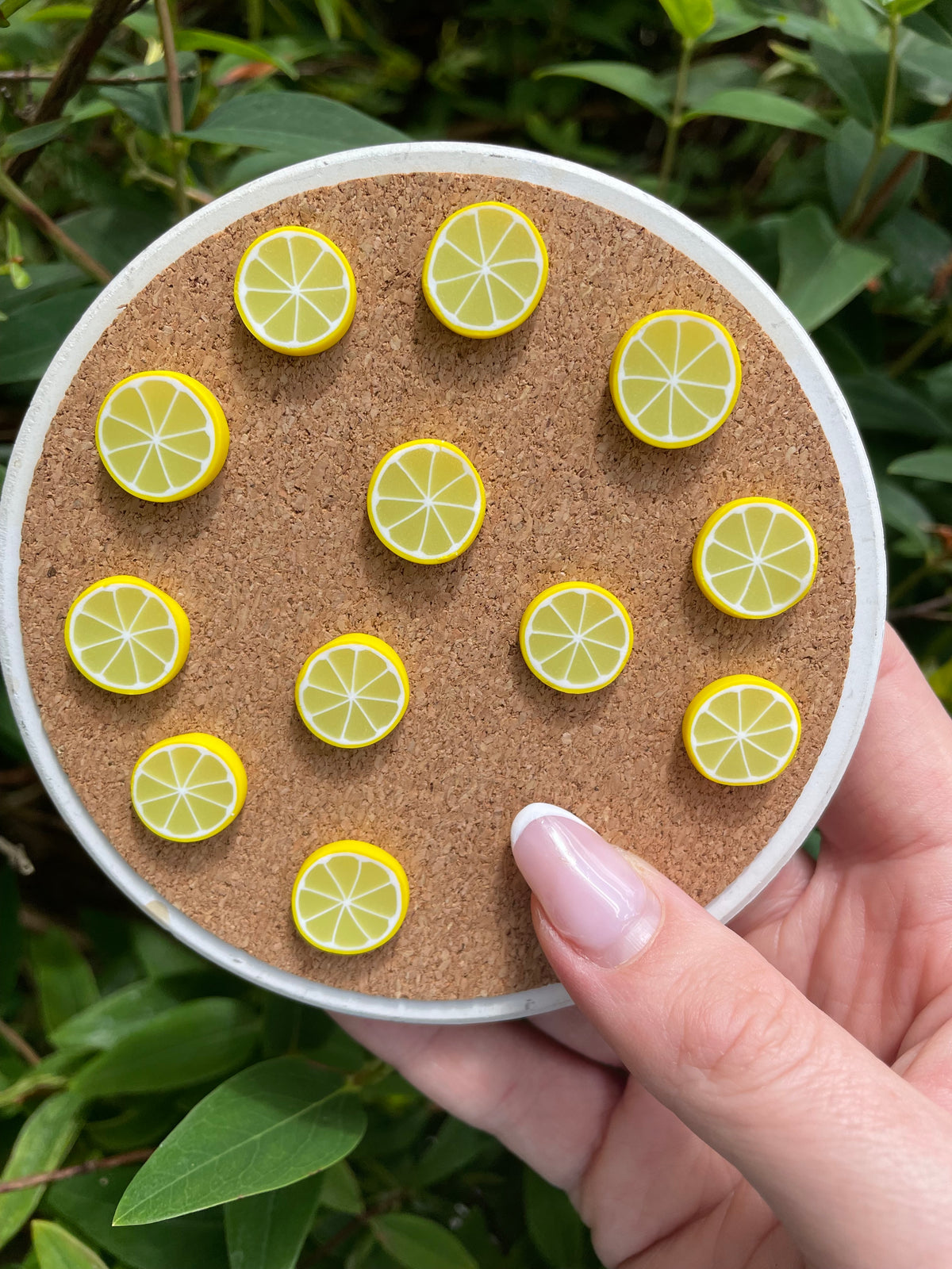 Lemon Slices