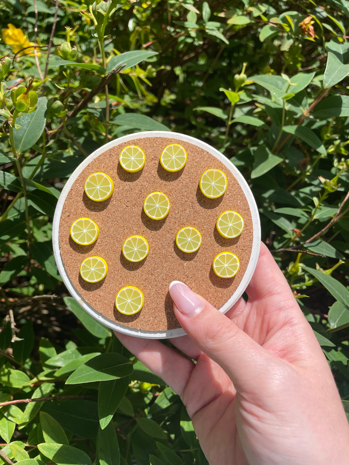 Lemon Slices