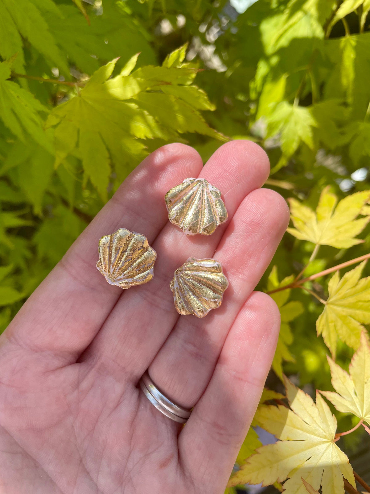 Gold Clam Shells