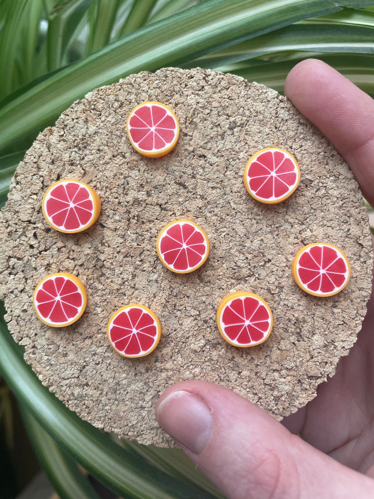 Blood Orange Slices