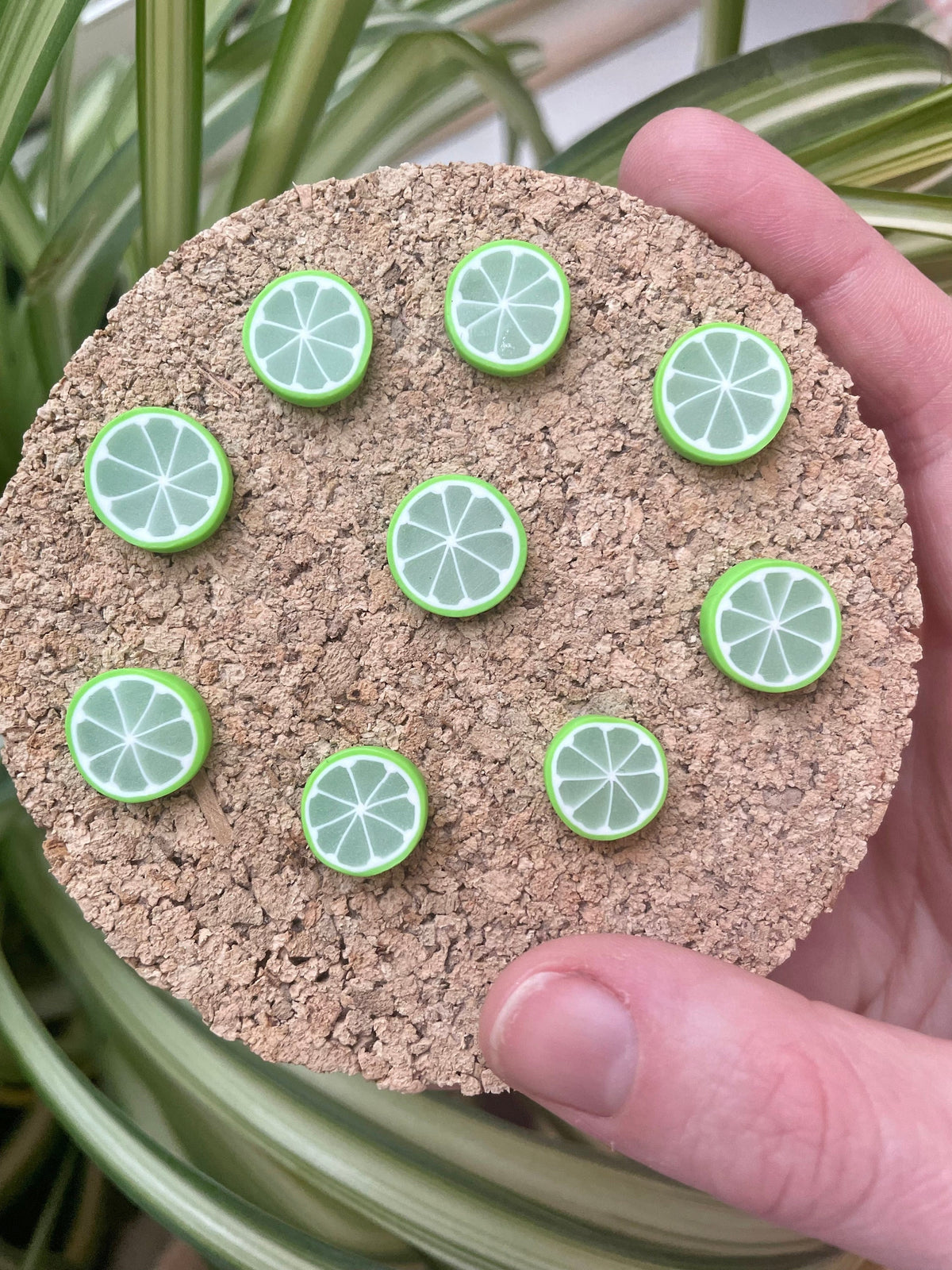 Limes