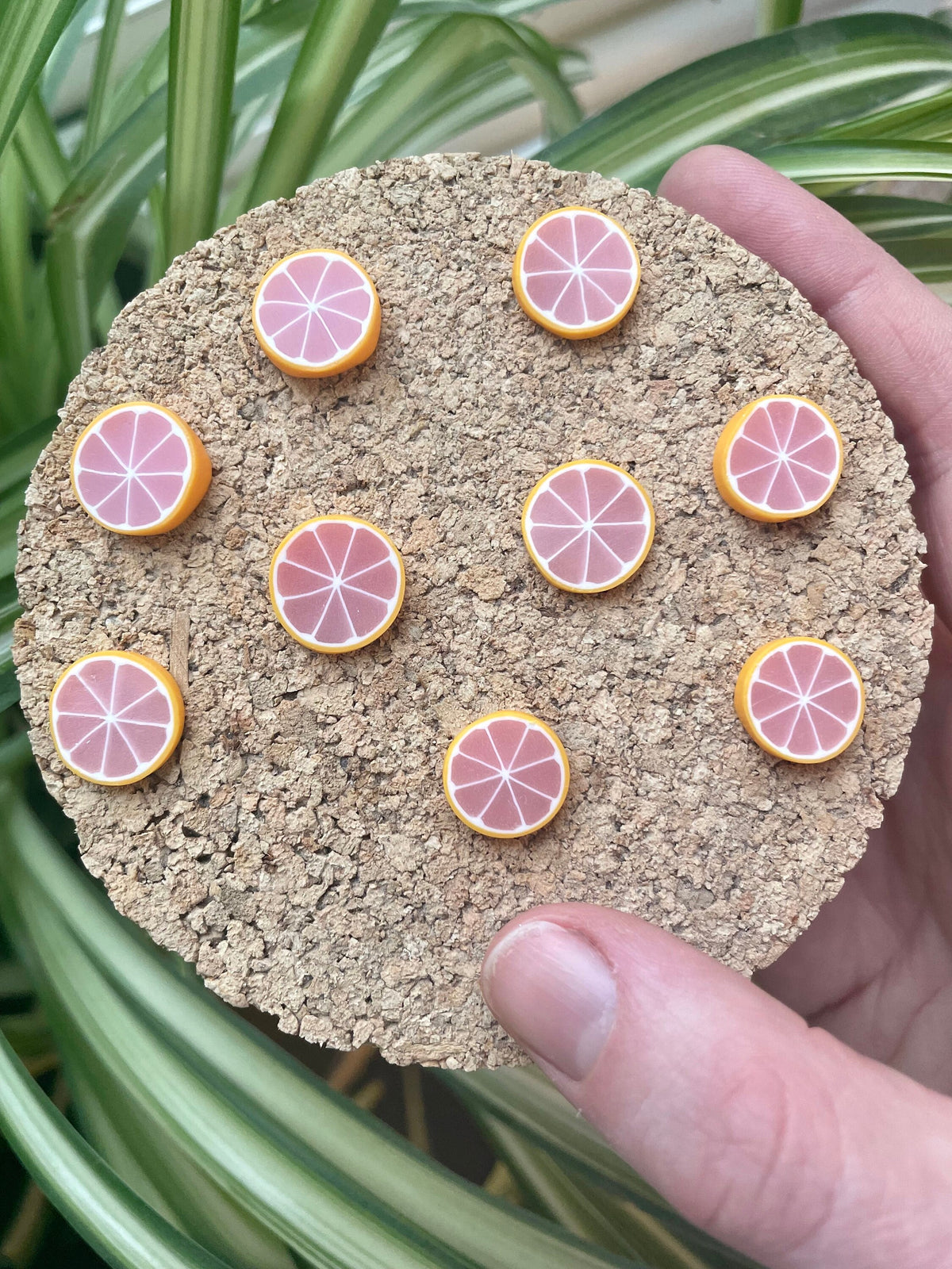 Citrus Mix