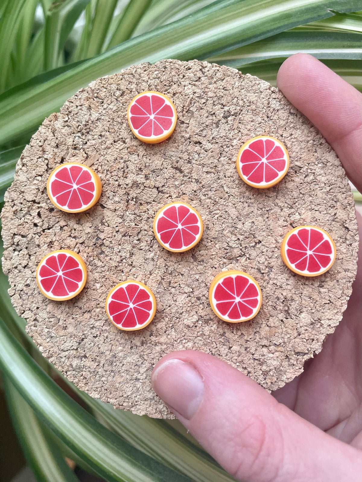 Blood Orange Slices