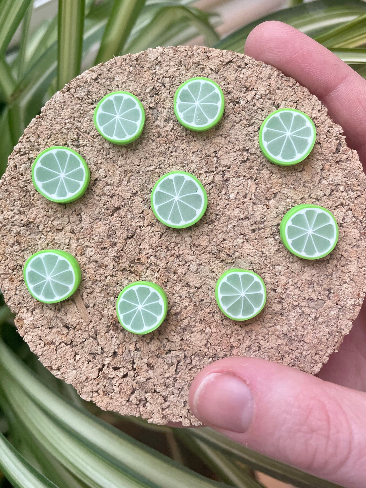 Limes