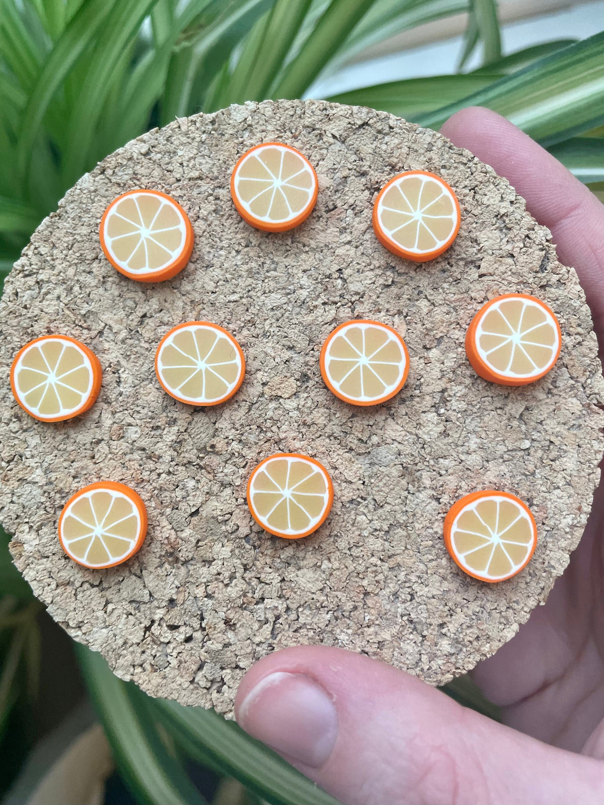Orange Slices