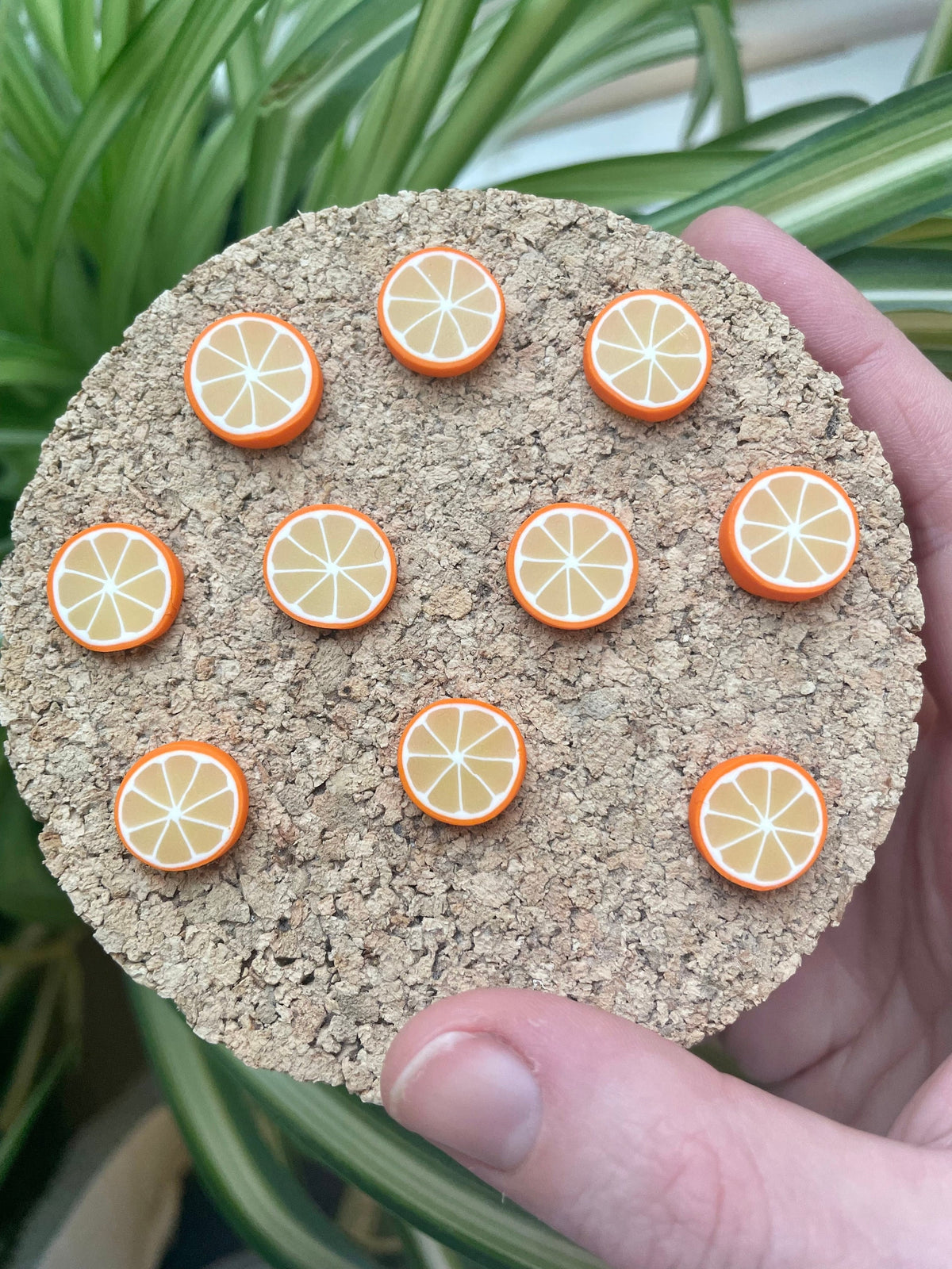 Orange Slices