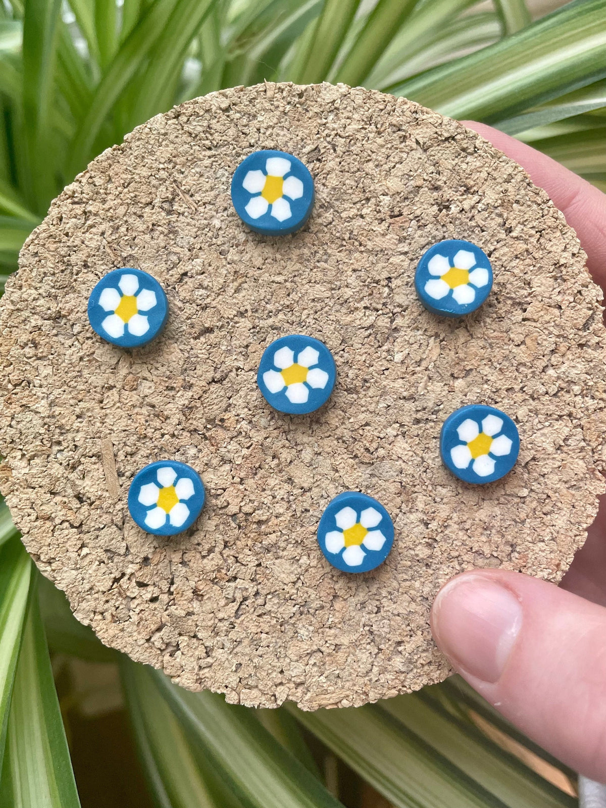 Blue Daisies