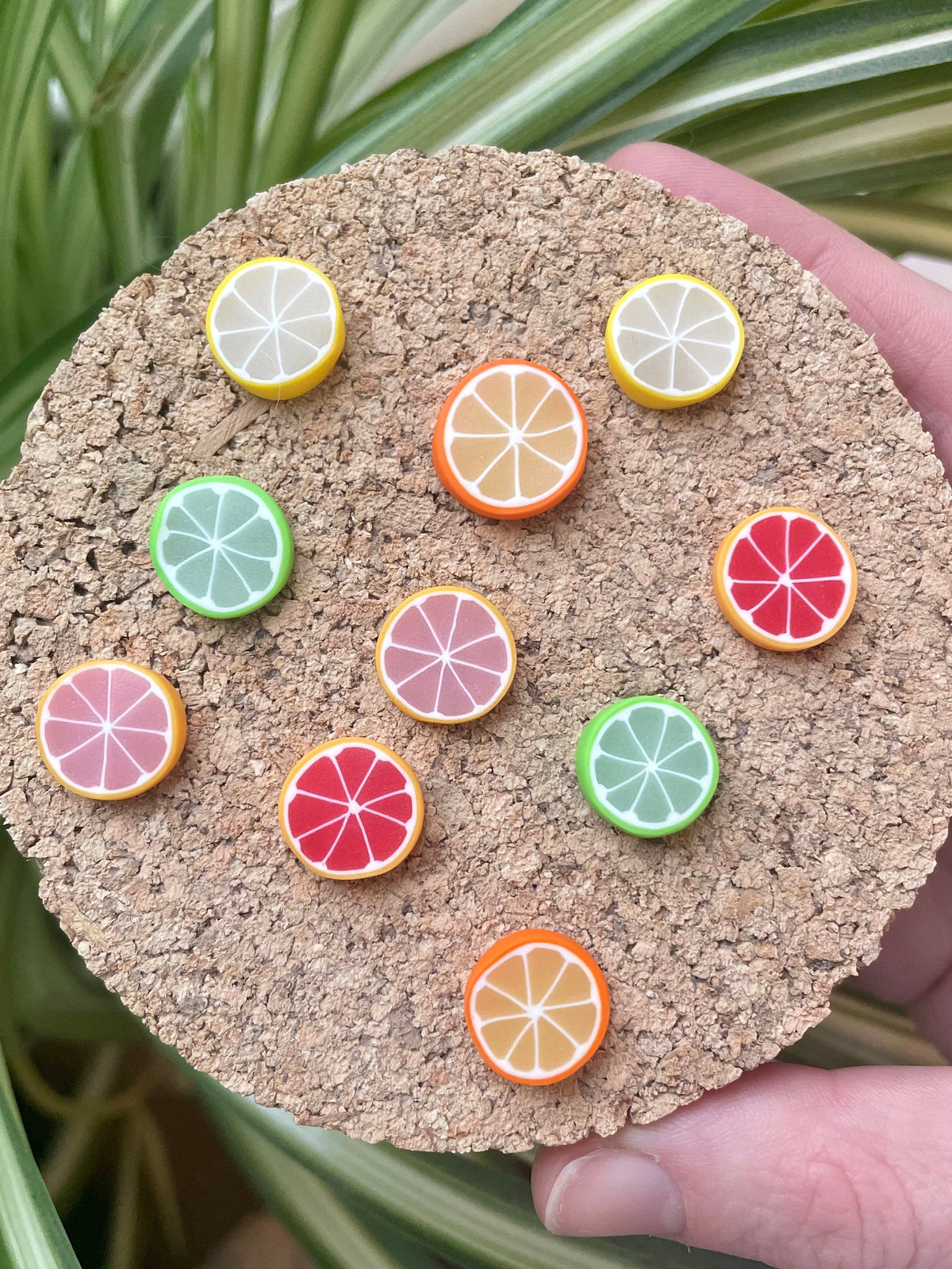 Citrus Mix