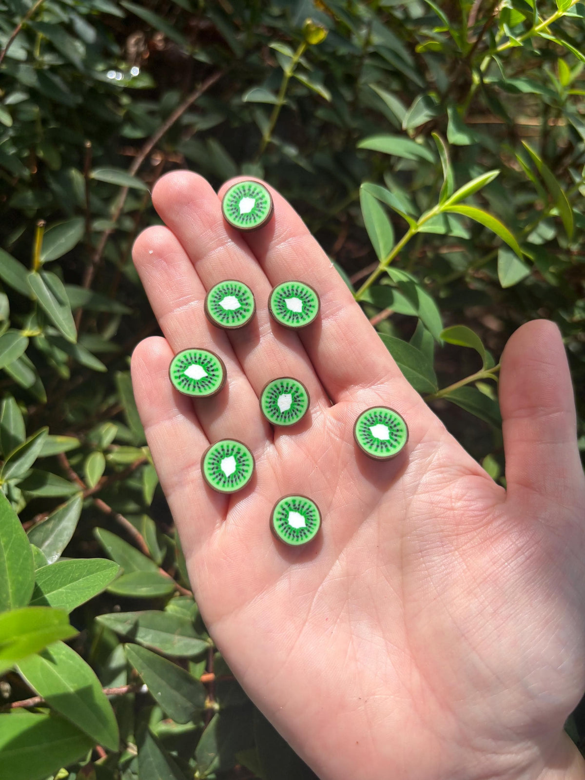 Kiwi Slices