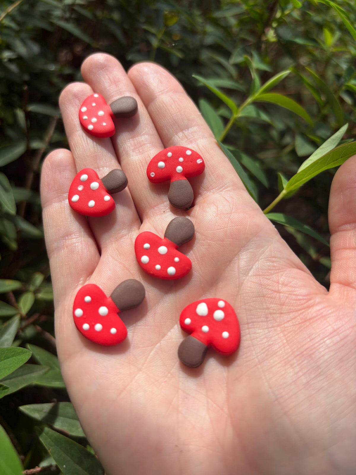 Mushrooms