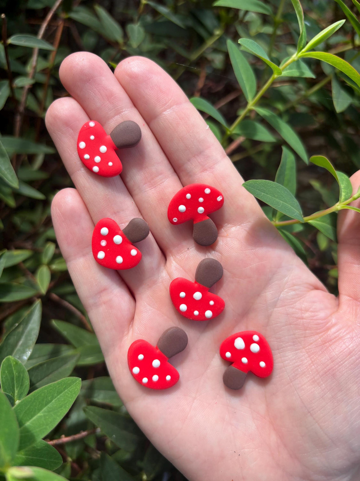 Mushrooms