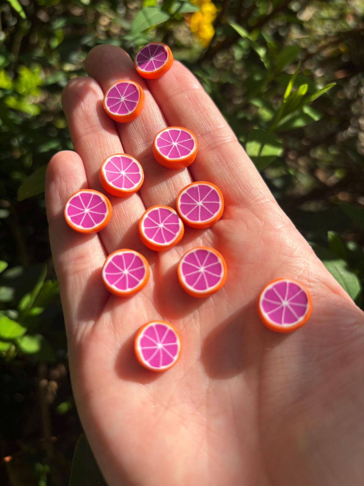 Grapefruit Slices