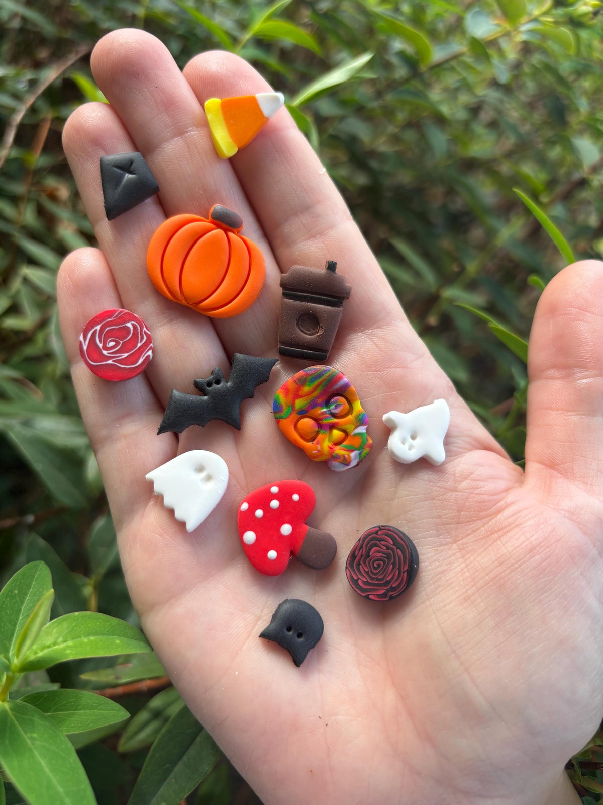 Autumn/Fall Set