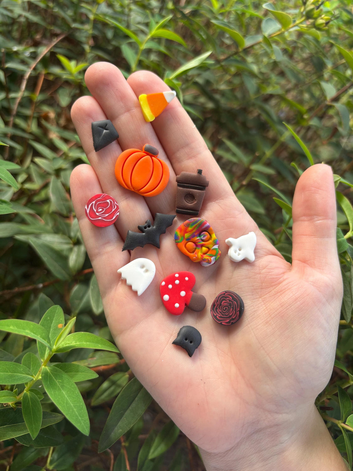 Autumn/Fall Set