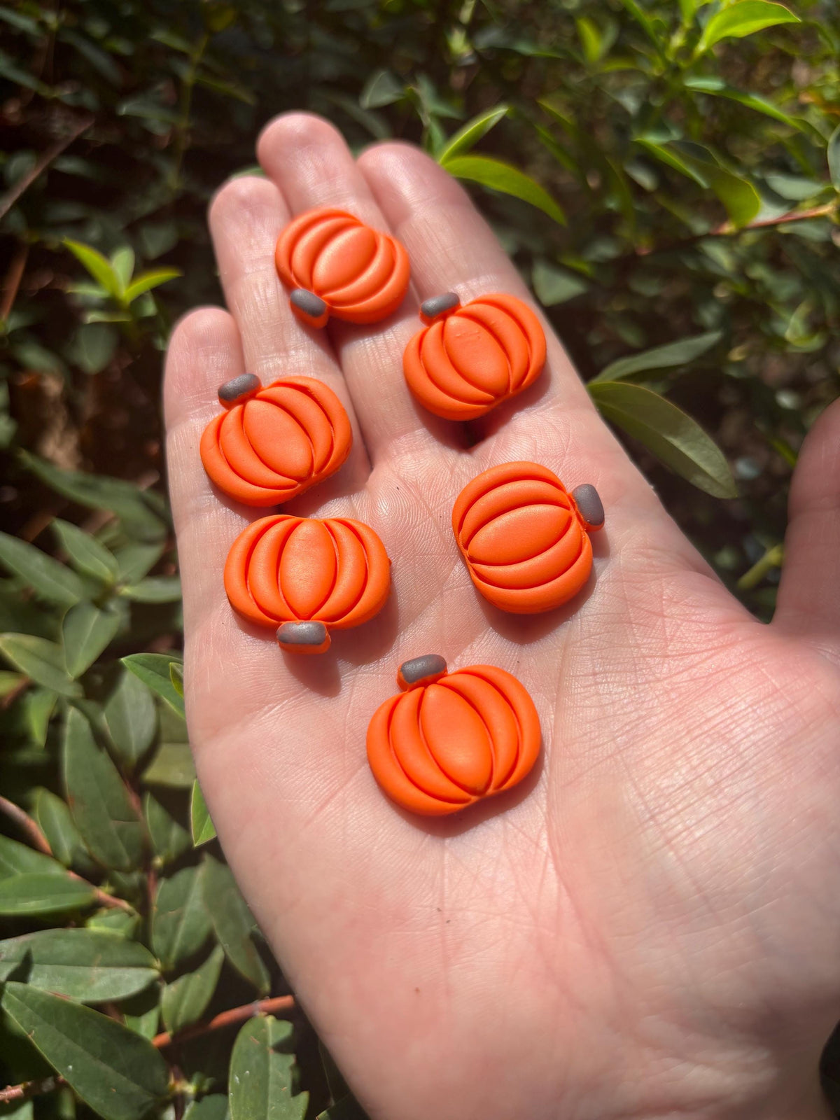 Pumpkins