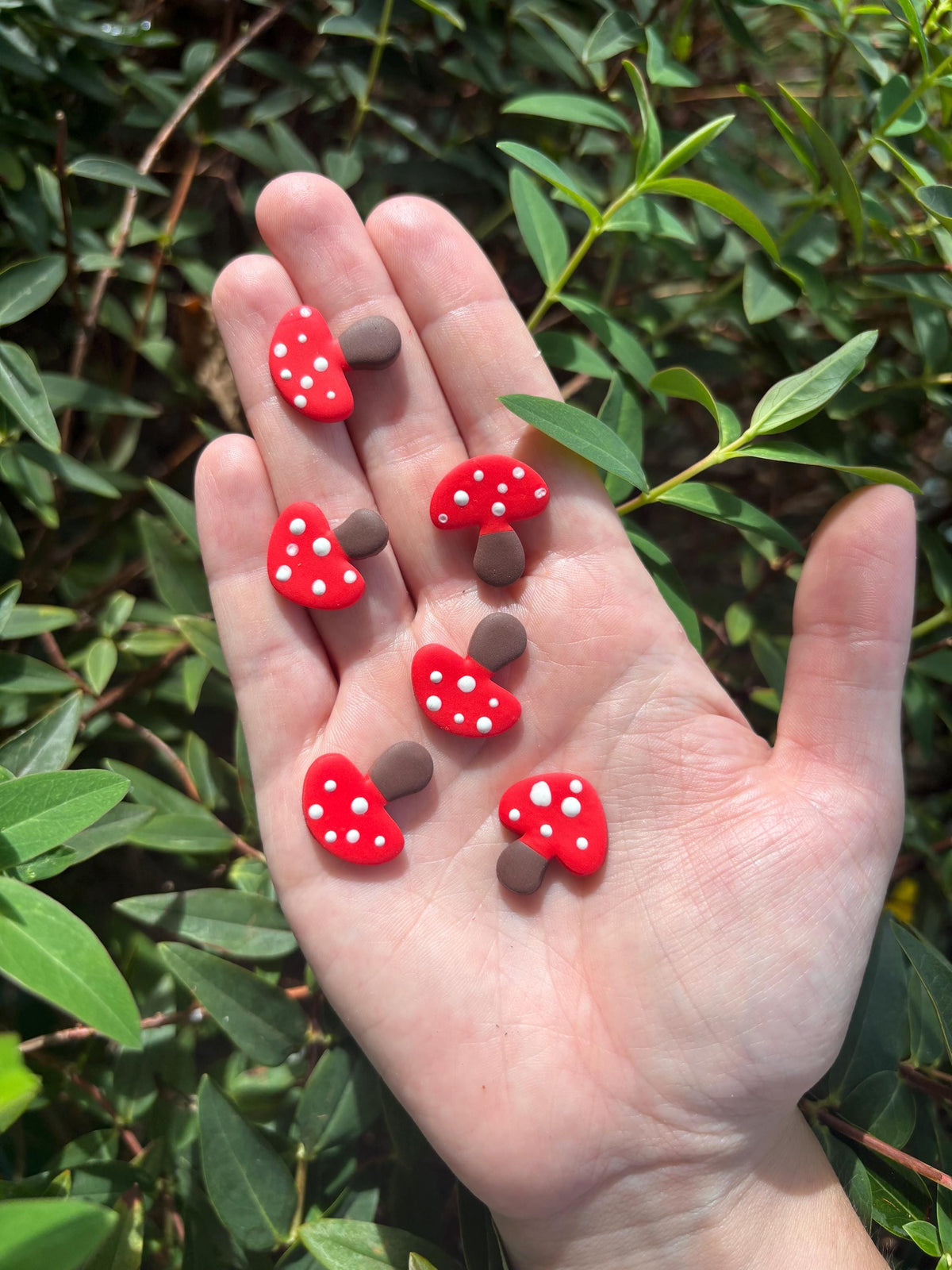 Mushrooms