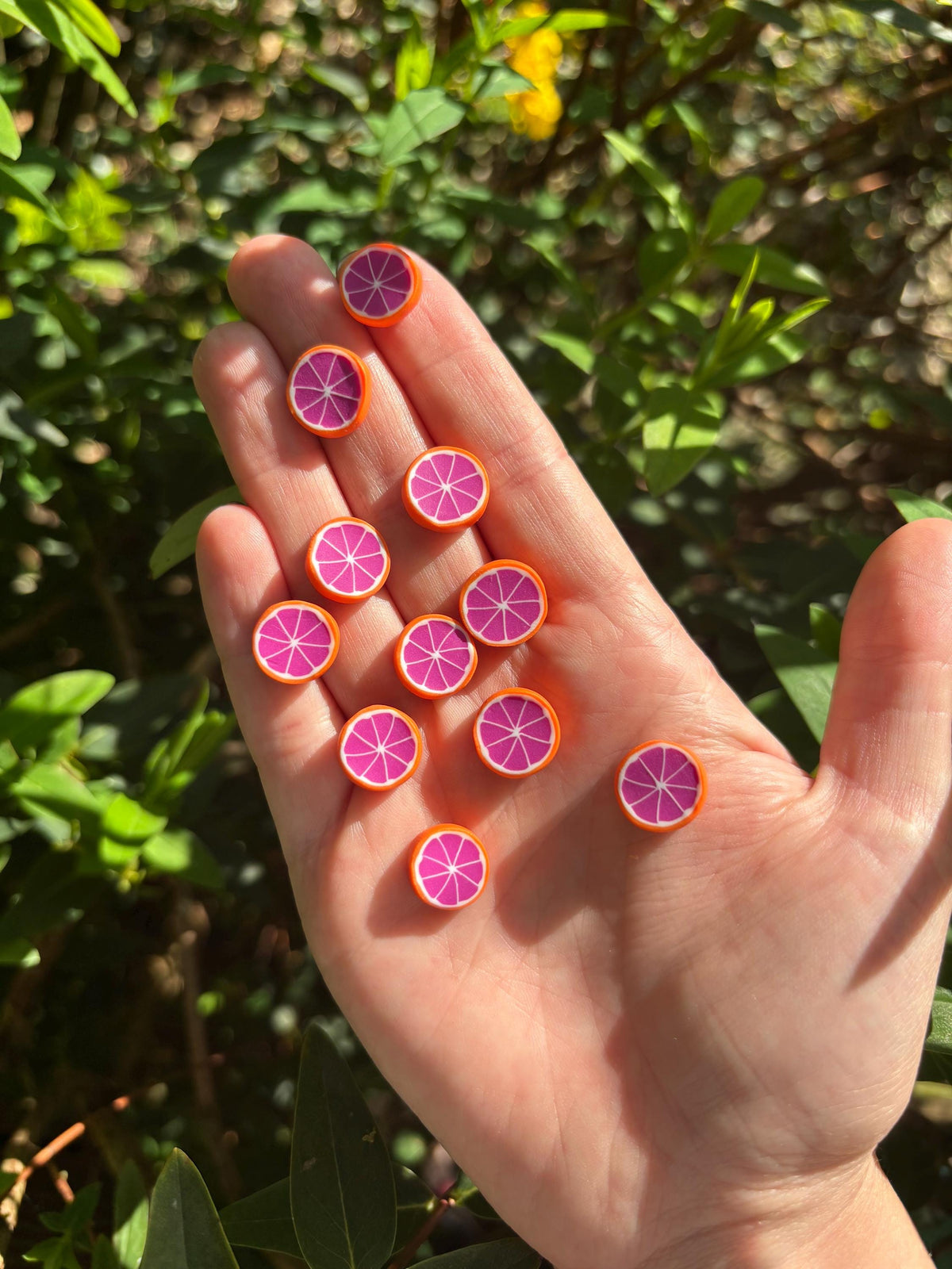 Grapefruit Slices